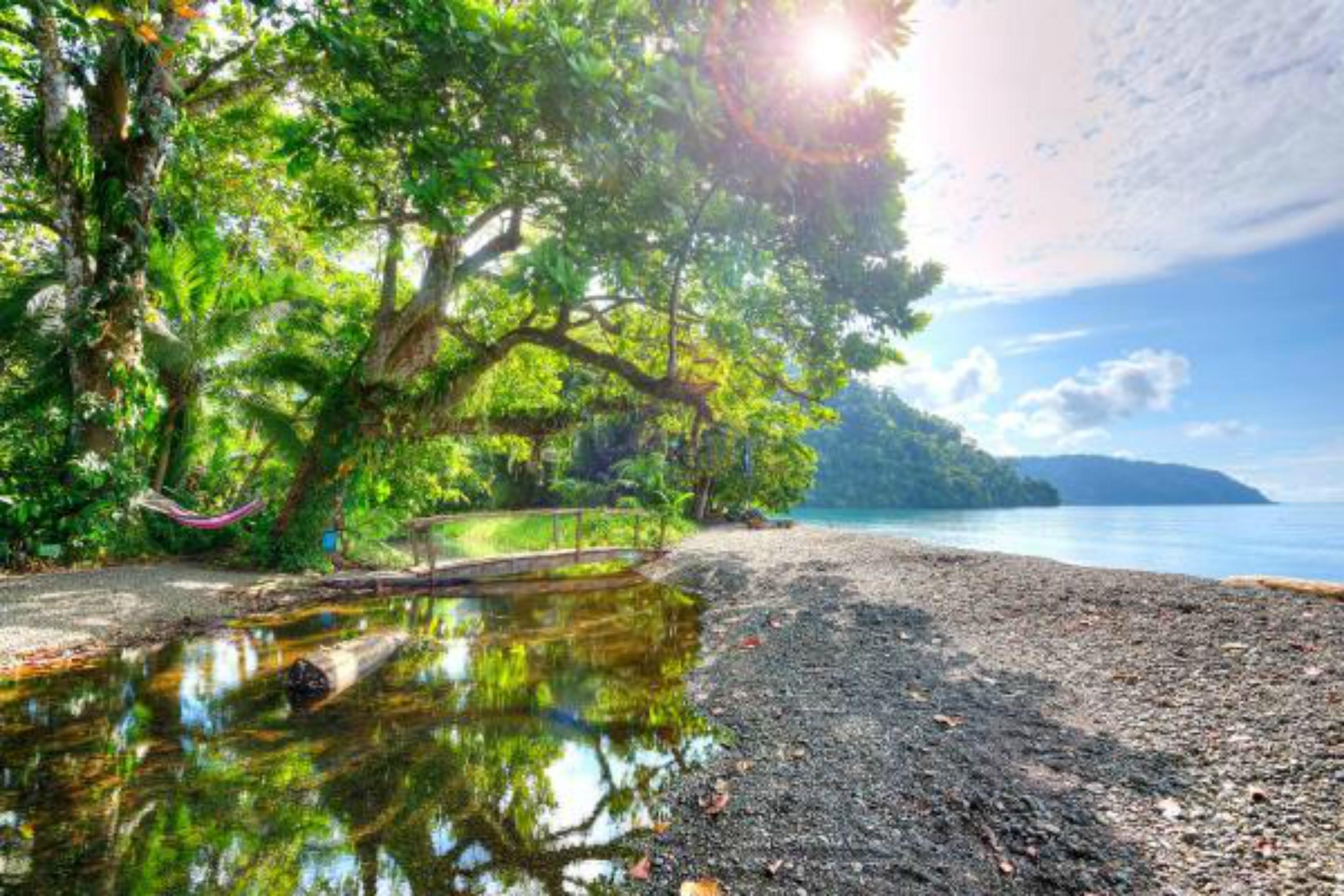 Playa Nicuesa Rainforest Eco Sanctuary Голфито Екстериор снимка