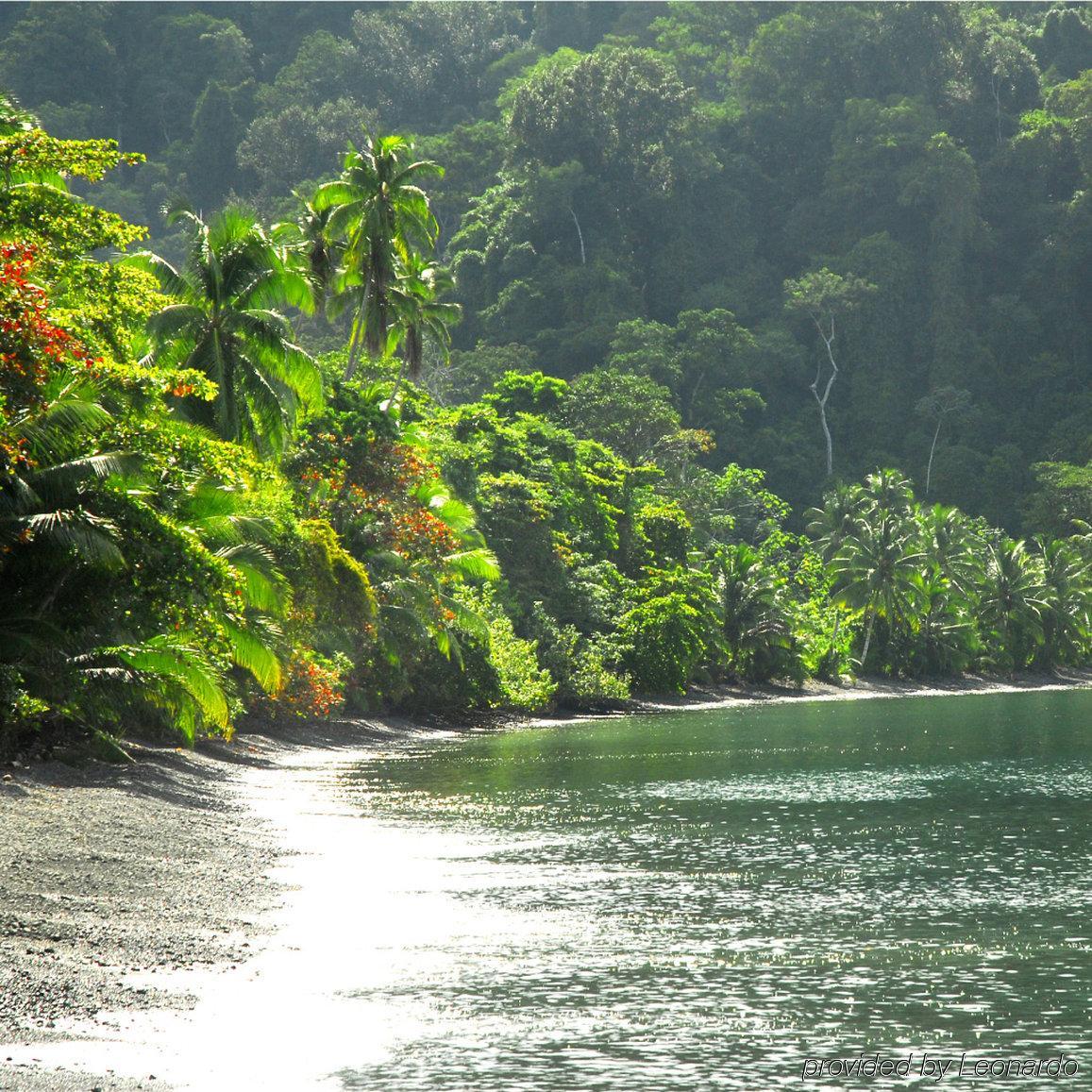 Playa Nicuesa Rainforest Eco Sanctuary Голфито Екстериор снимка